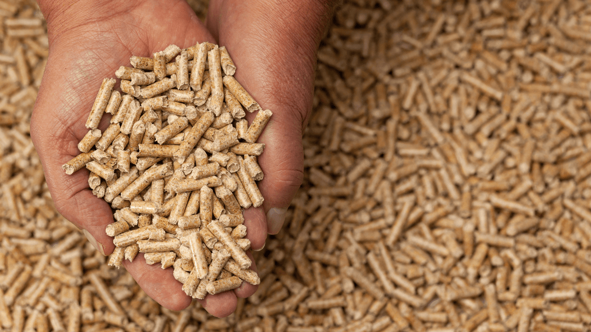 Lernen Sie Schafwollpellets kennen MedSalus Medsalus Woolhome GmbH